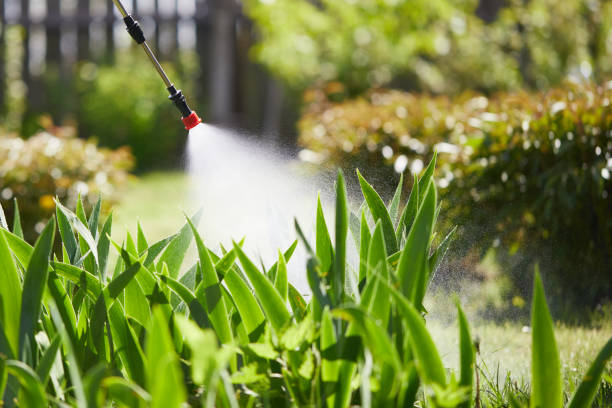 Tamper-Resistant Bait Stations for Rodents in Barrington