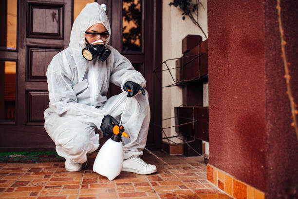Attic and Crawl Space Rodent Treatment in Barrington