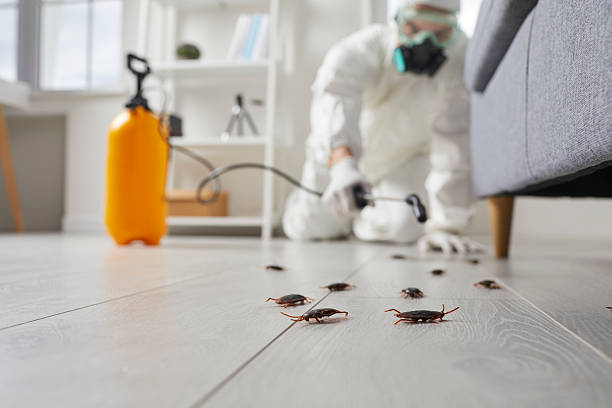 Commercial Rodent Management in Barrington
